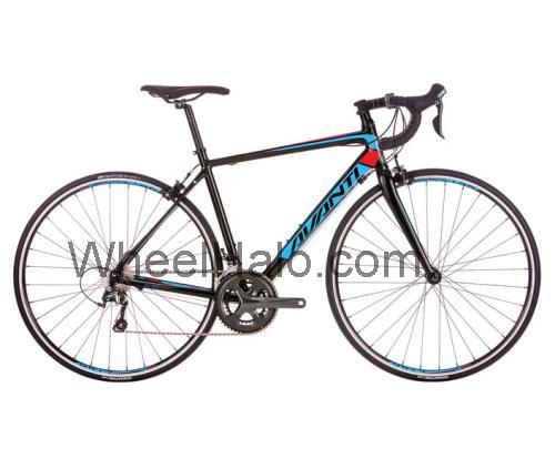 Avanti Giro C2 fiche technique et avis